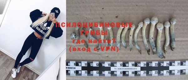 мяу мяу мука Беломорск