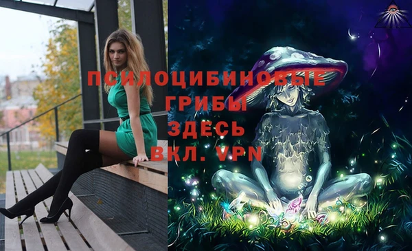 бошки Туринск