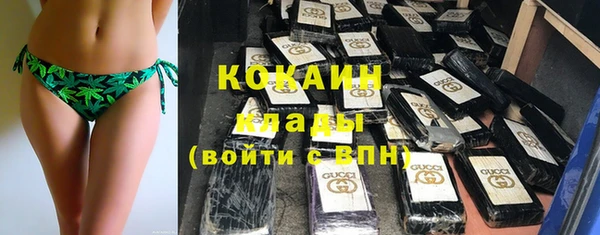 крисы Тында