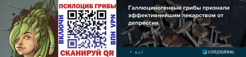 Галлюциногенные грибы Psilocybine cubensis  mega онион  Коммунар  хочу  